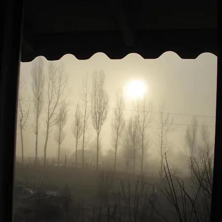 St.paul Yol Kasimlar