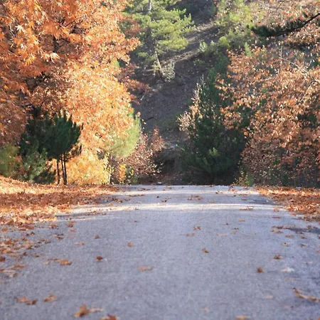 St.paul Yol Kasimlar