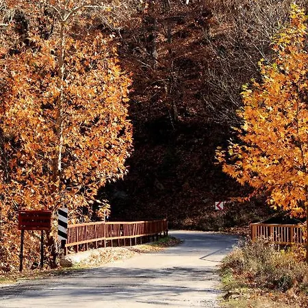St.paul Yol *